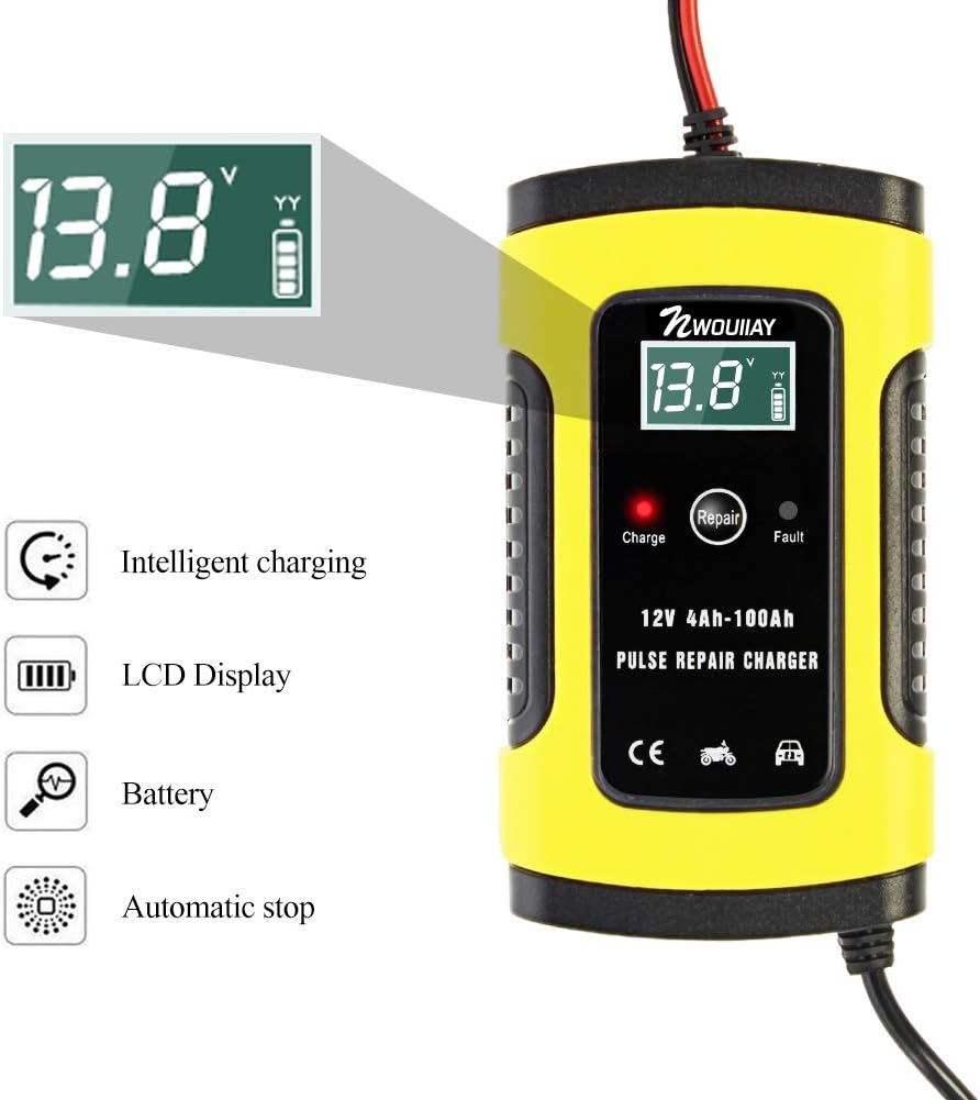 Charger display showing intelligent charging, LCD, battery, and automatic stop icons