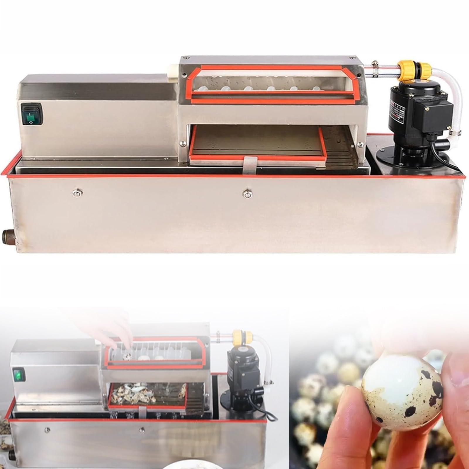 JIADUOFU Electric quail egg sheller, automatic quail egg peeling machine