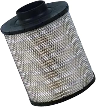 Air Filter AH19037 B105006 Compatible with Fleetguard Compatible with Donaldson Compatible with Wix Compatible with Baldwin