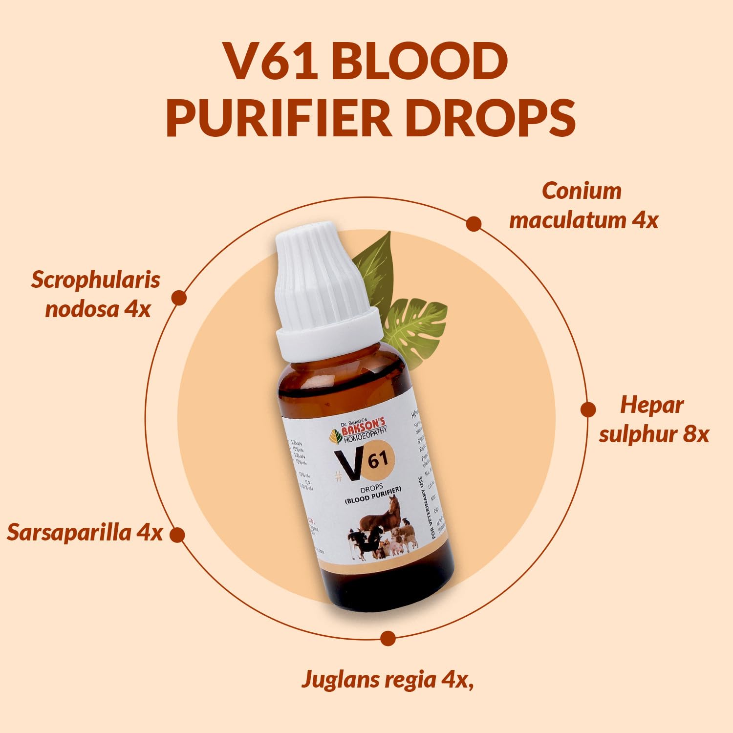 Bakson Veterinary V61 Blood Purifier Drops 30ML | Homeopathic Blood Cleanser for Pets, Dogs & Cats | Supports Clear Skin, Allergy Relief, Immunity, Vitality & Lymphatic Health — Amazon image 5