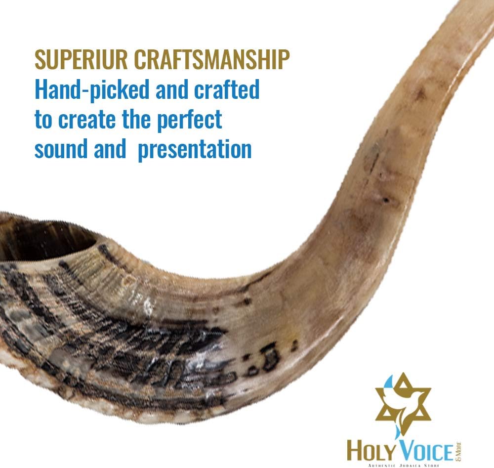 Kosher Ram Shofar Horn from Israel 14”-16" Traditional Half Polished Ram Shofar Includes Carrying Bag, Brush, Anti Odor Spray and Blowing Guide - Holy Easy Blowing Ancient Jewish Musical Instrument : Musical Instruments