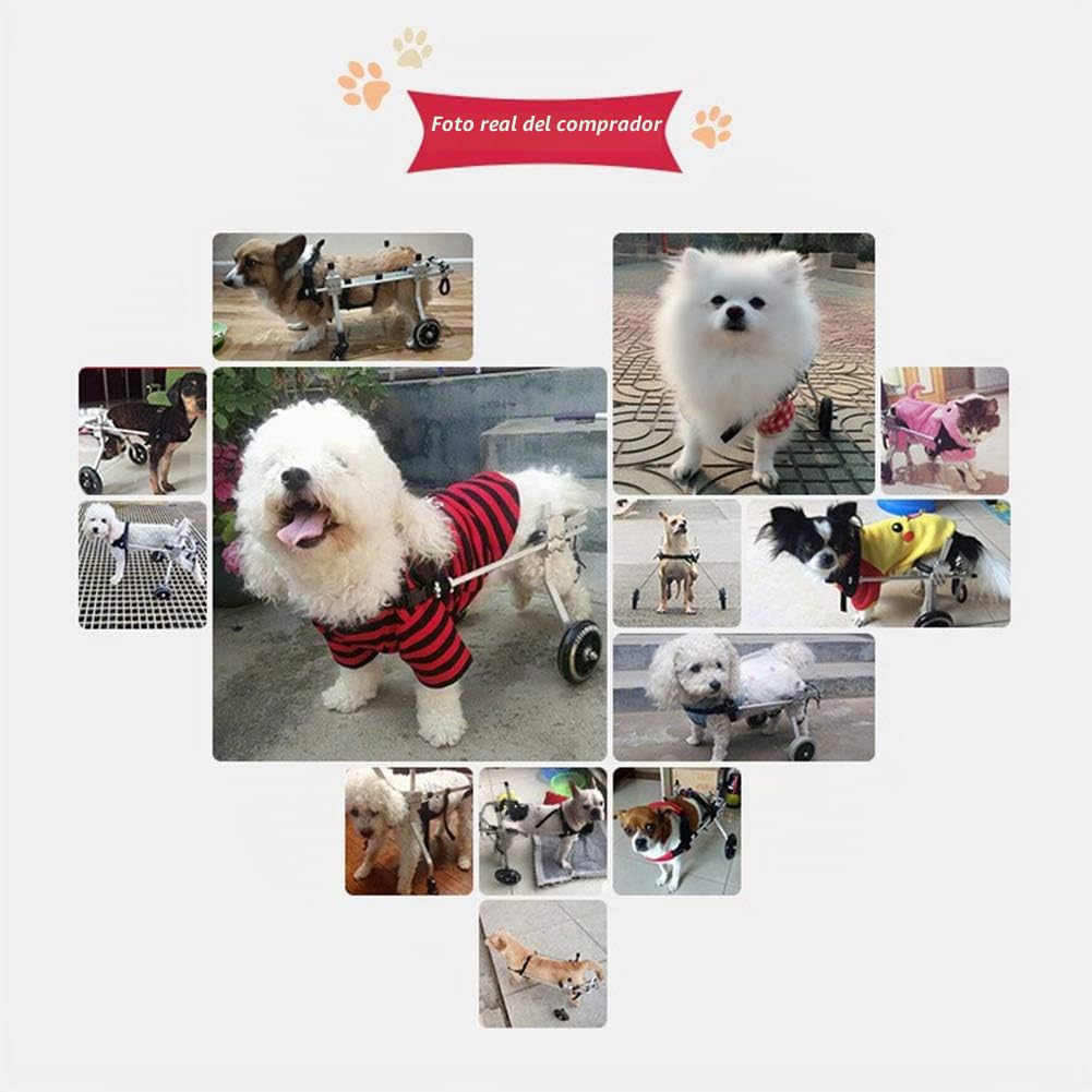 Silla De Ruedas Ajustable para Perros - para Perros Medianos/Grandes De 1 A 40 Libras - Aprobada por Veterinarios - Silla De Ruedas para Perros para Patas Traseras
