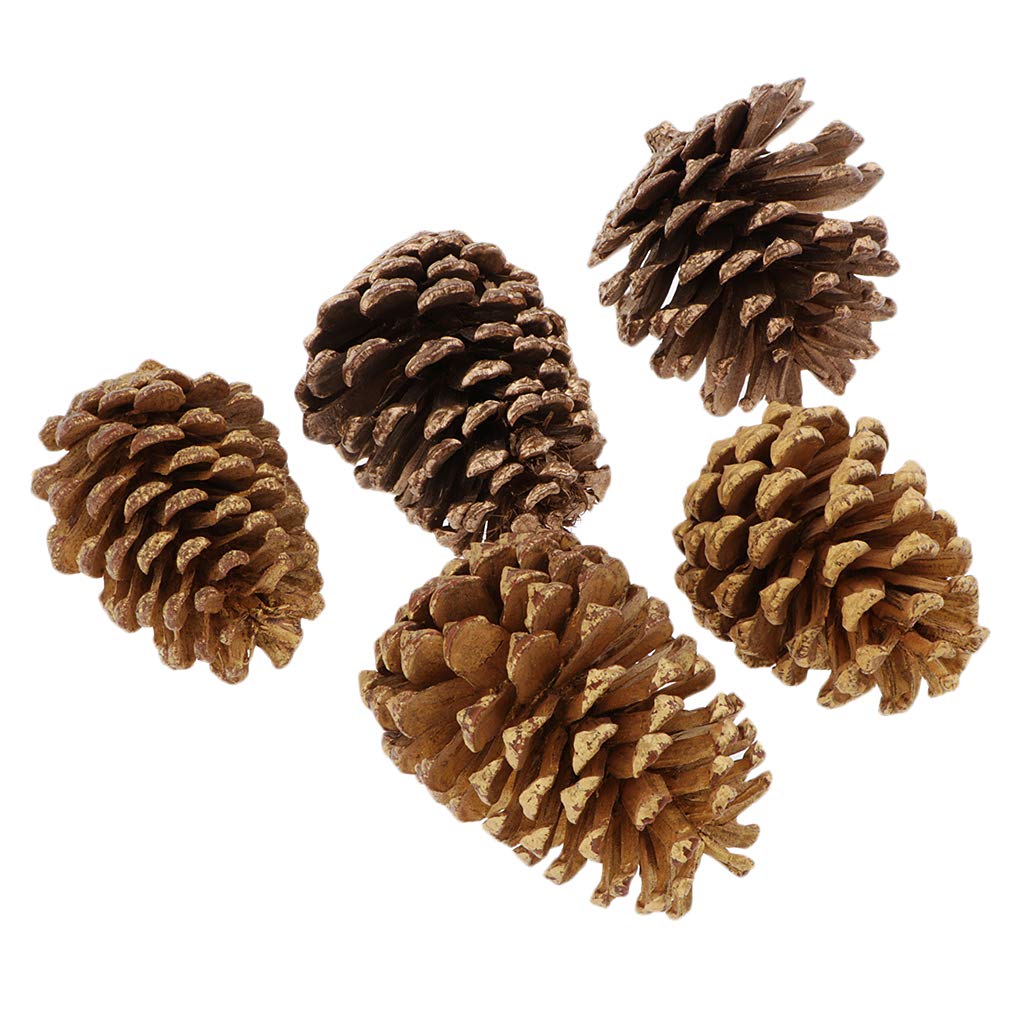 IPOTCH Natural Pine Cones, Brown Decorative Fall Winter Holiday Home Decor Vase Filler, 5 PCS - 8-10cm