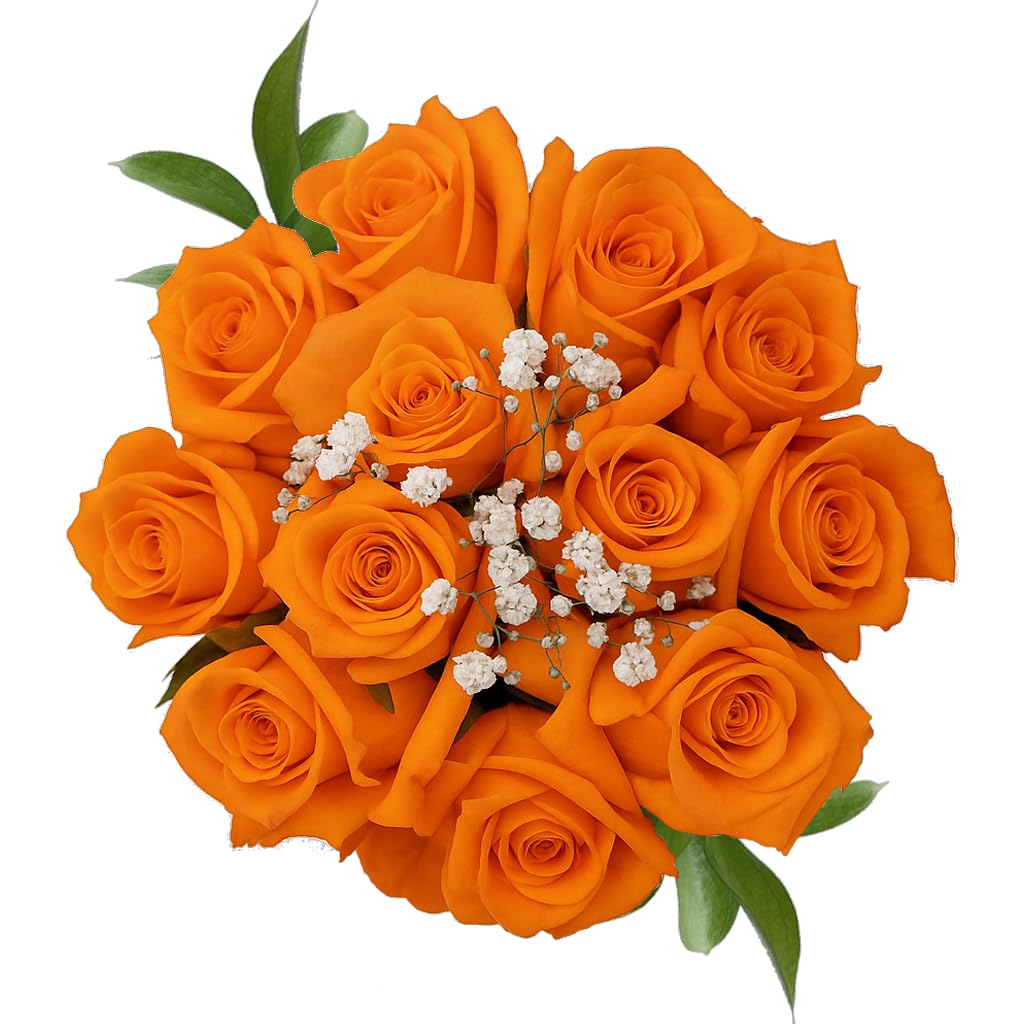 Amazon.com : GlobalRose Fresh Dozen Orange Roses & Fillers - Fresh