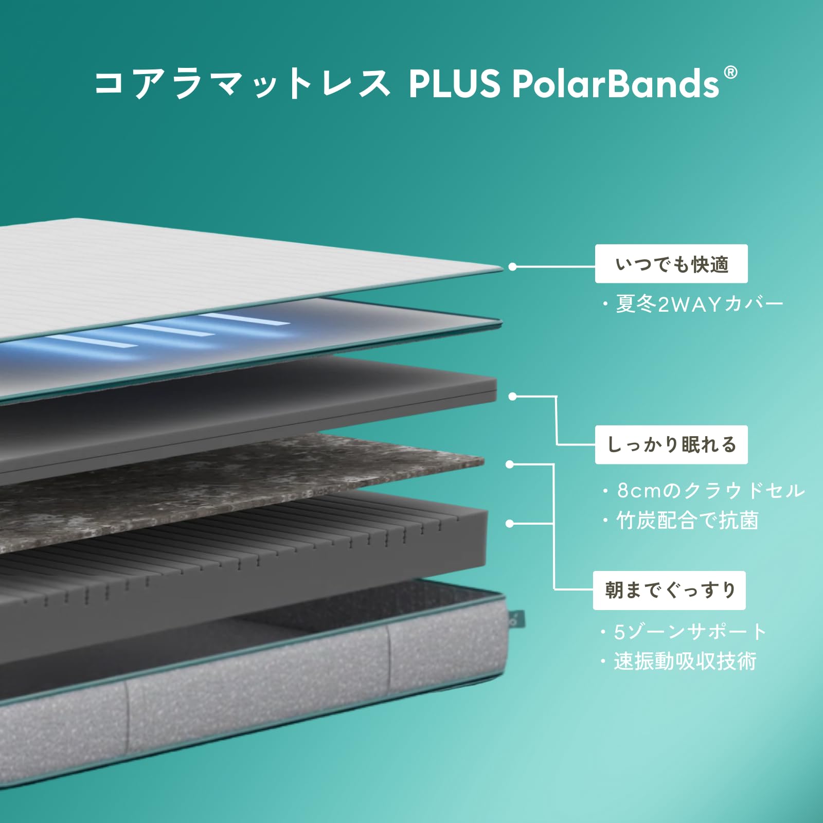 Amazon.co.jp: 【公式】koala 【コアラマットレス PLUS PolarBands(R 