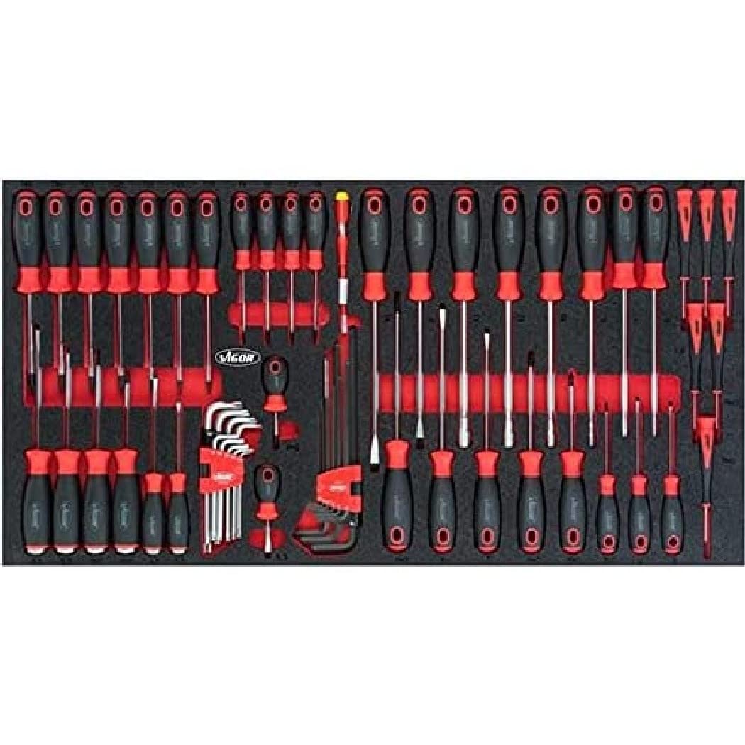 Vigor Vigor_V5170 - Juego de destornilladores (60 piezas)