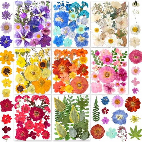 269 Stück getrocknete gepresste Blumen für Kunstharz-Bastelarbeiten YouthBro Set aus echten Naturblumen mit Schmetterlingsaufklebern für DIY-Schmuck Iridescent