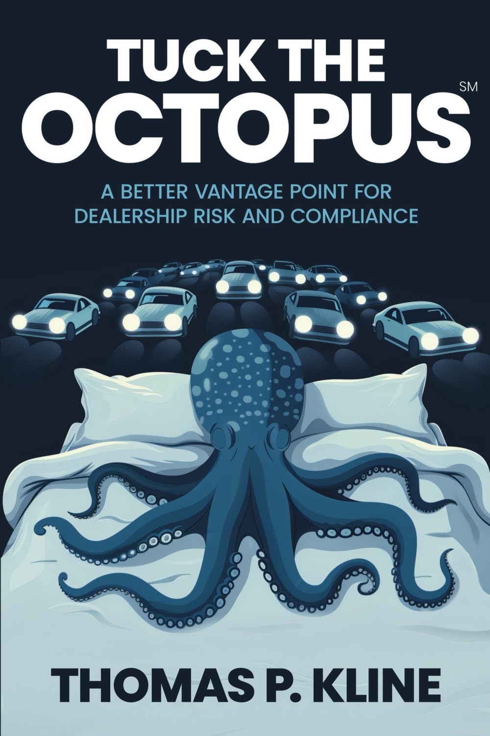Tuck The Octopus: A Better Vantage Point For Dealership Risk And Compliance      Paperback – August 19, 2024