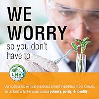 Vista 5 de SOLARAY Propolis Plus Apoyo saludable para el sistema inmunológico con propóleos, polen de abeja y jalea real 90 VegCaps