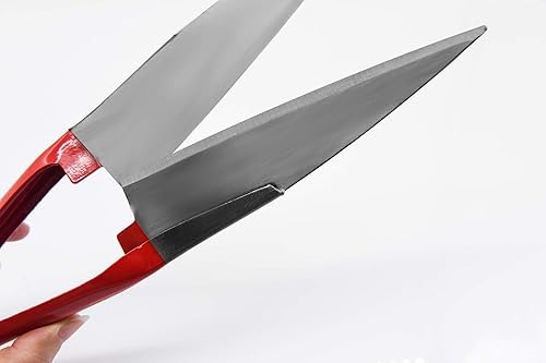 Miniatura 7 de Tijeras de alpaca de cizalla de oveja diseño en forma de R para aseo de animales de pelo grueso grande (rojo)