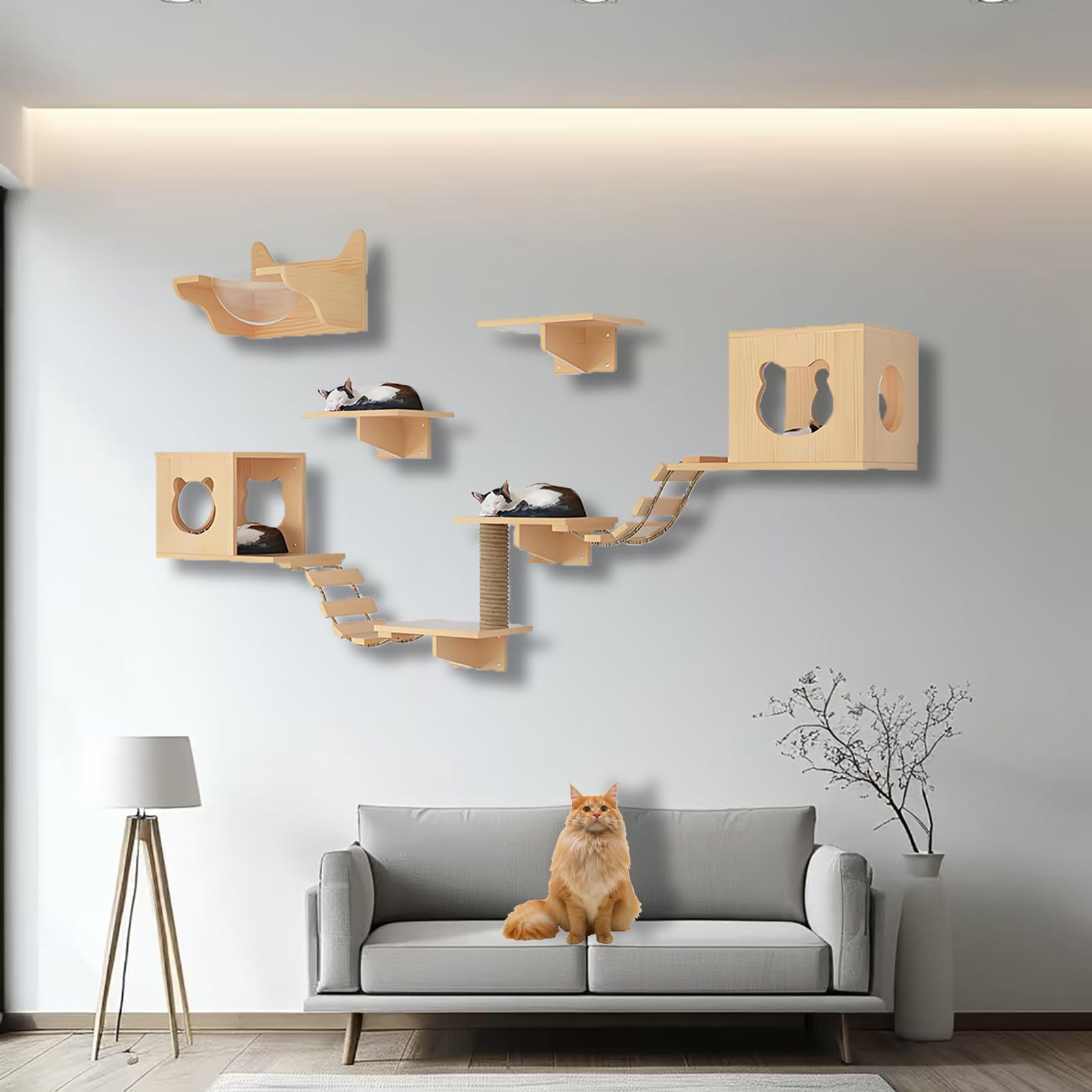 Kletterwand Katzen, Katzenwandregale und -sitzstangen, Massivholz-Kletterregale mit Klettergerüst, Katzenhaus, Kratzbaum, Leiter und Plattform, Raumkapsel(10pcs)