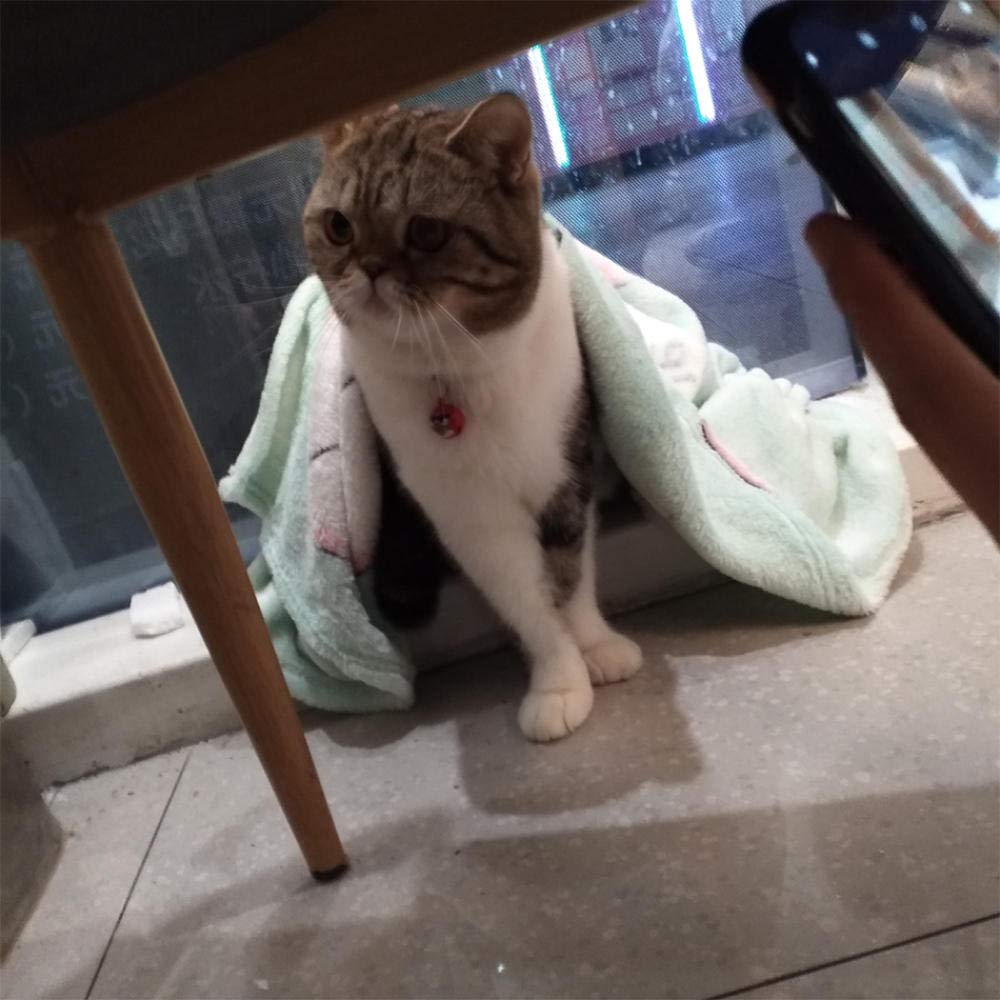 Decken Fiir Katzen Apple Kitten Decke Flanellstoffe Pet Throws Fluffy Fleece Hund Decke Soft Warm Pet Covers 1St 125X153cm