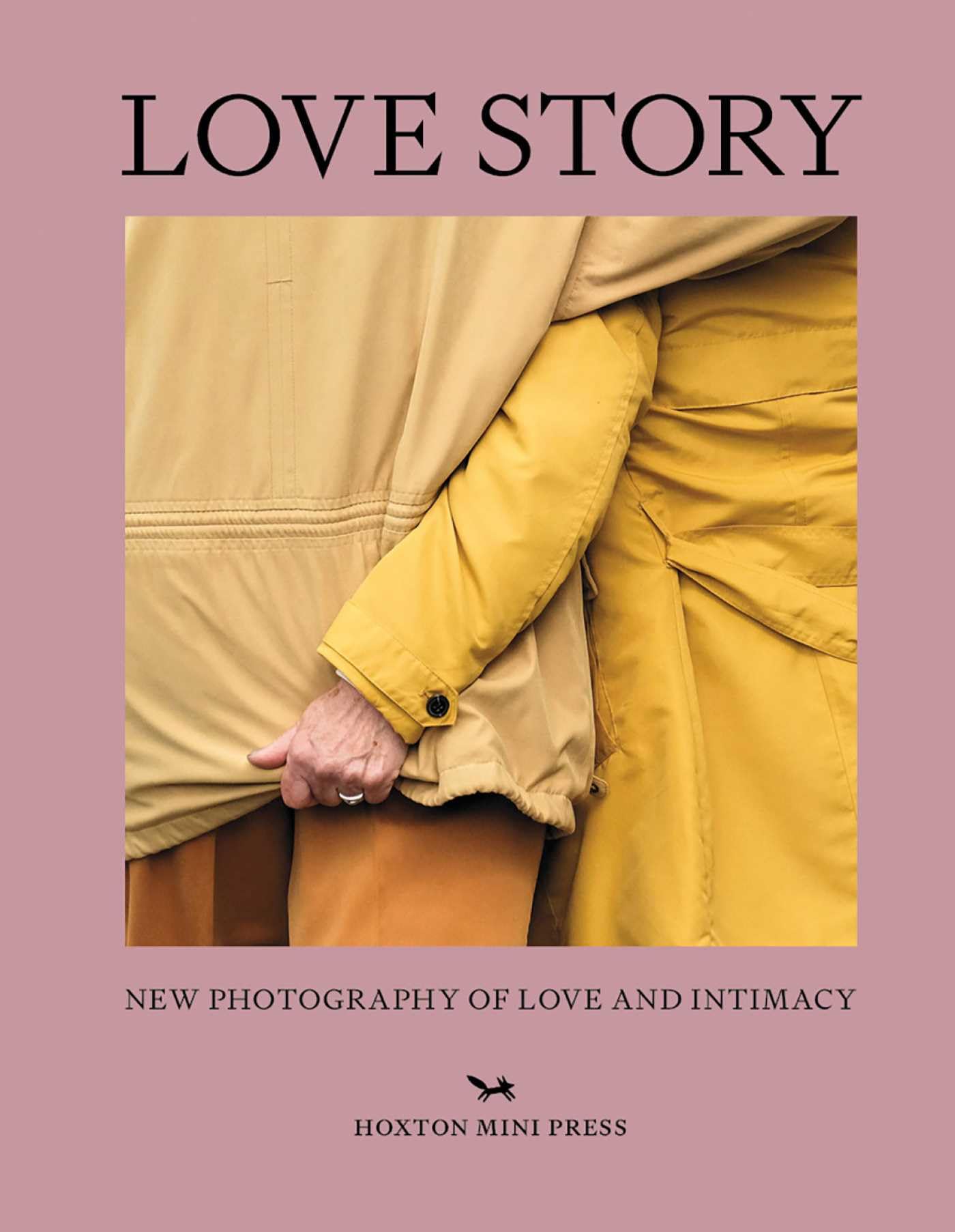Love Story by Rachel Segal Hamilton (Hardback Book)