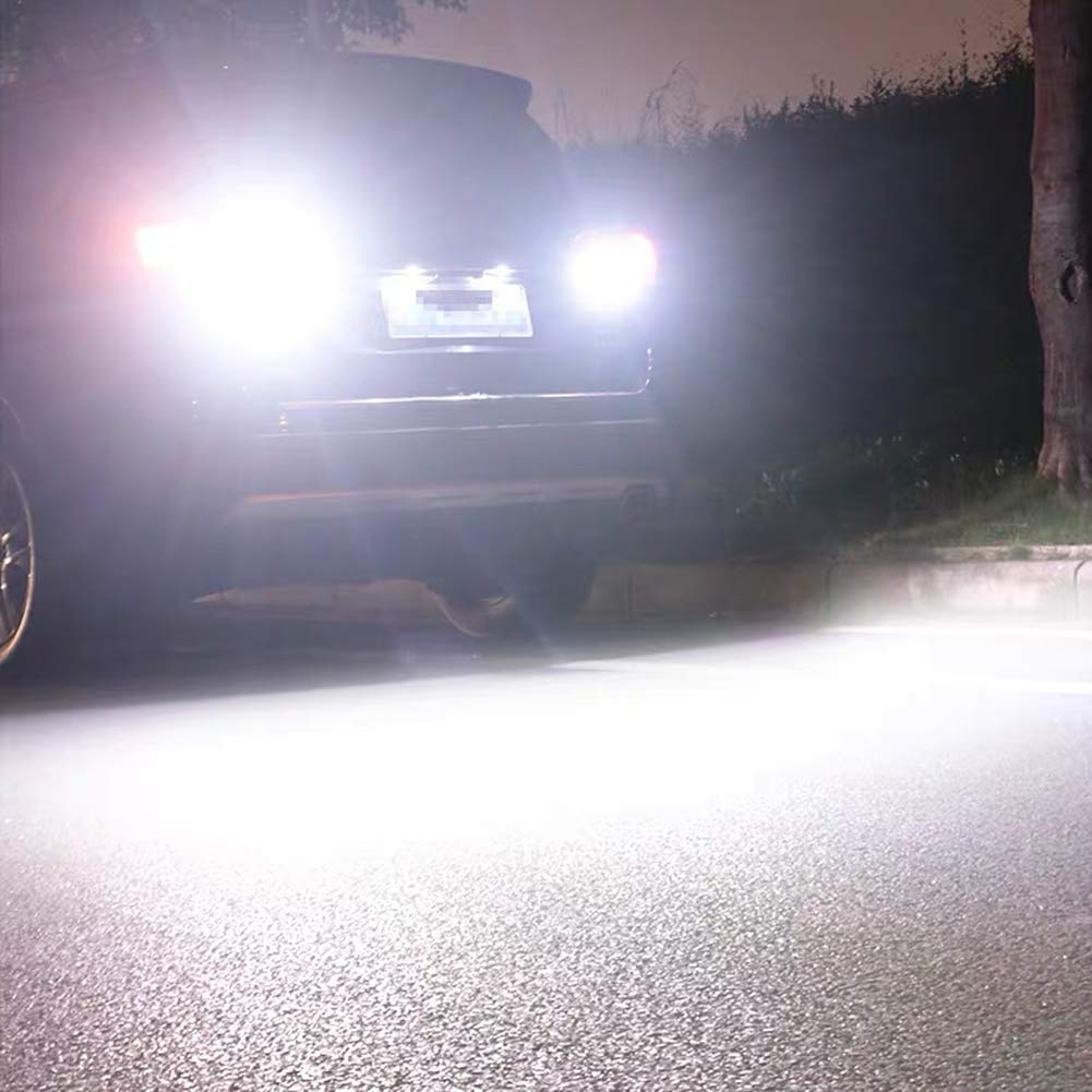 LEDバックライト 41HjD5xIZ7L._UF350,350_QL50_.jpg