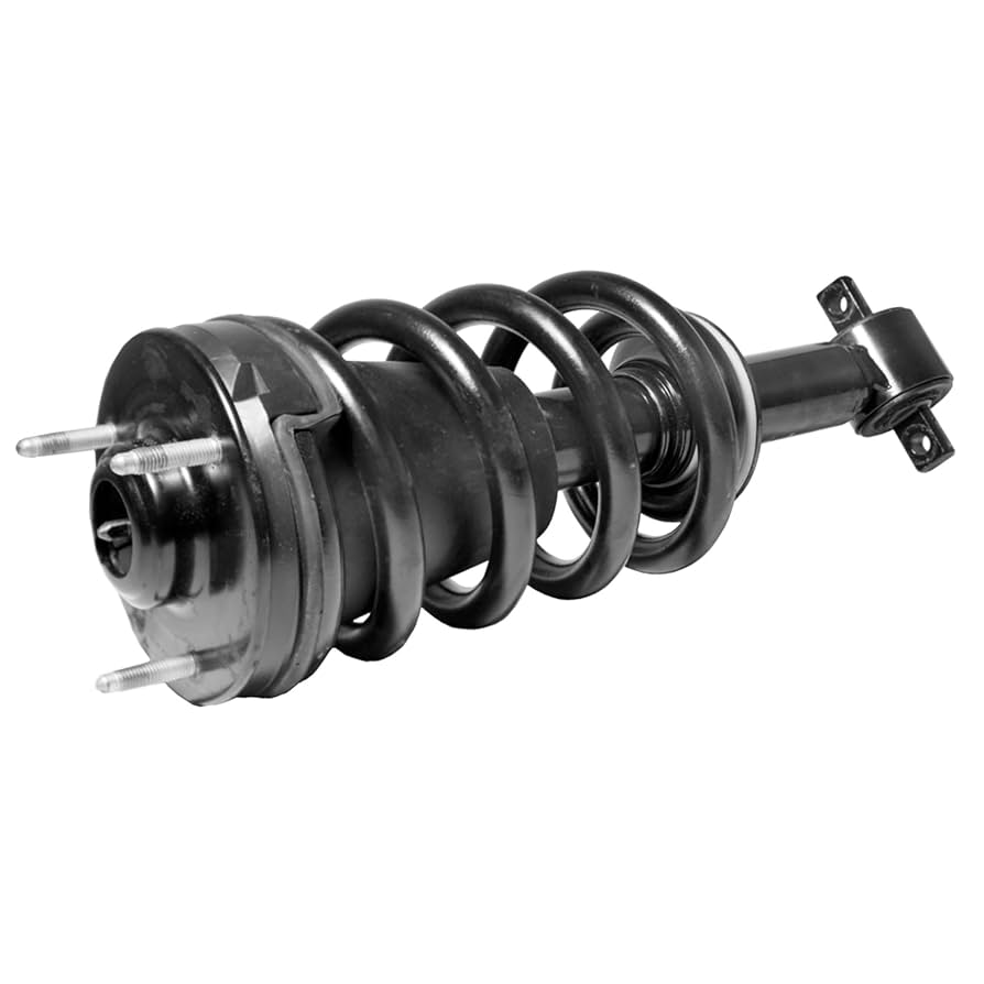 Lycoris.　1113 Amazon.com: 139104 Front Struts Shocks w/Coil Springs for