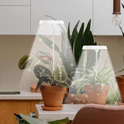 Miniatura 5 de GYTF Paquete de 2 luces de cultivo de plantas Halo, 6000 K LED blanco de espectro completo para plantas de interior, suculentas, mini bonsái,