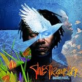  The Traveller