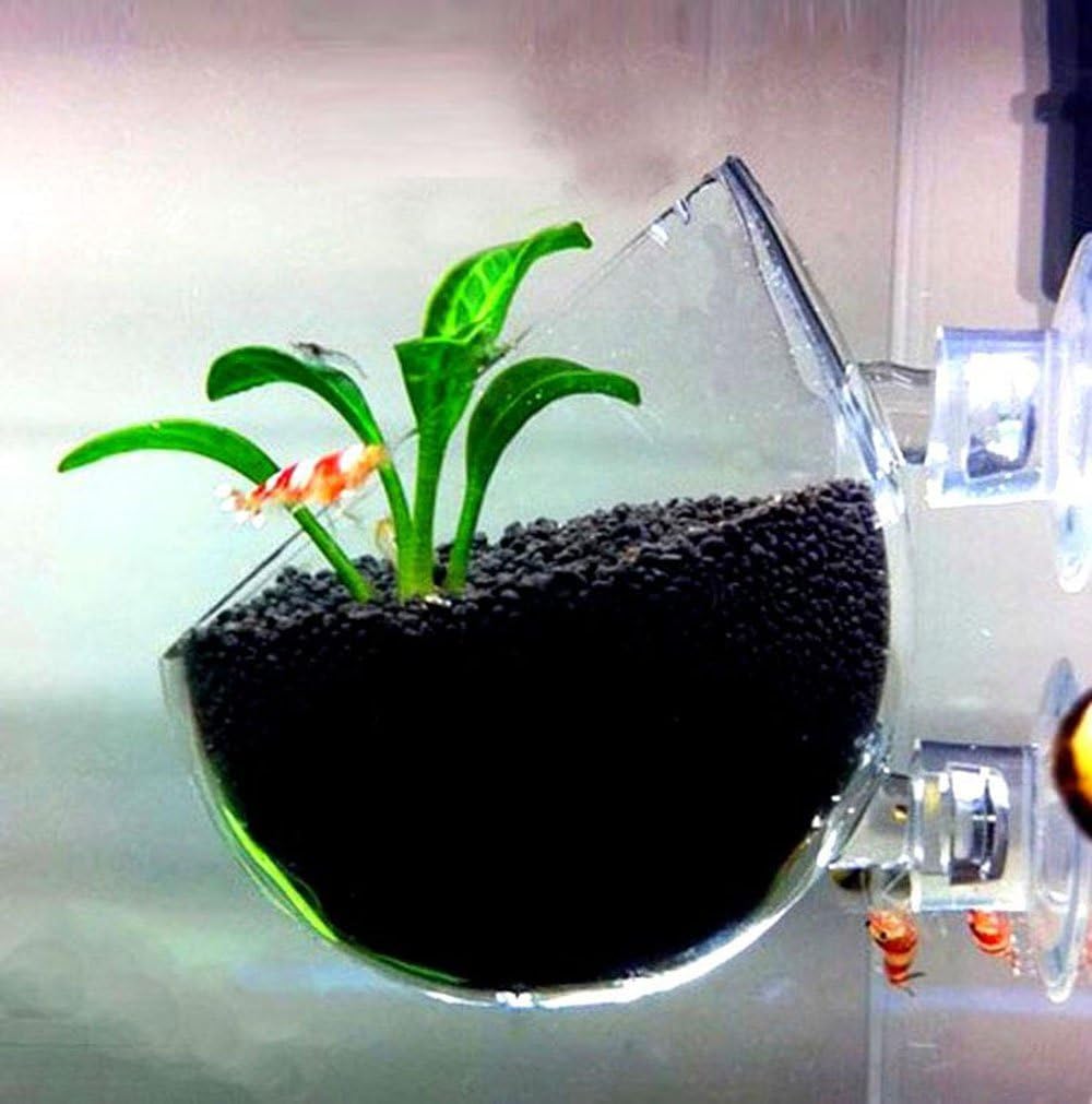 PINVNBY Plant Pot Aquarium Decor Aquatic Plant Cup with 2 Suction Cup for Fish Tank Aquarium Aquascape(2 Pack) - Image 4