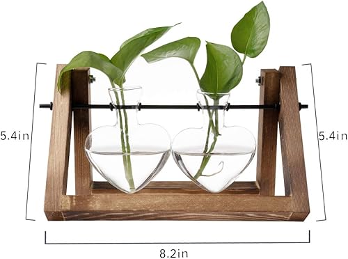 Miniatura 24 de Kingbuy Estación de propagación de plantas con 5 jarrones de bombilla, soporte de madera retro, maceta de vidrio de escritorio, terrario