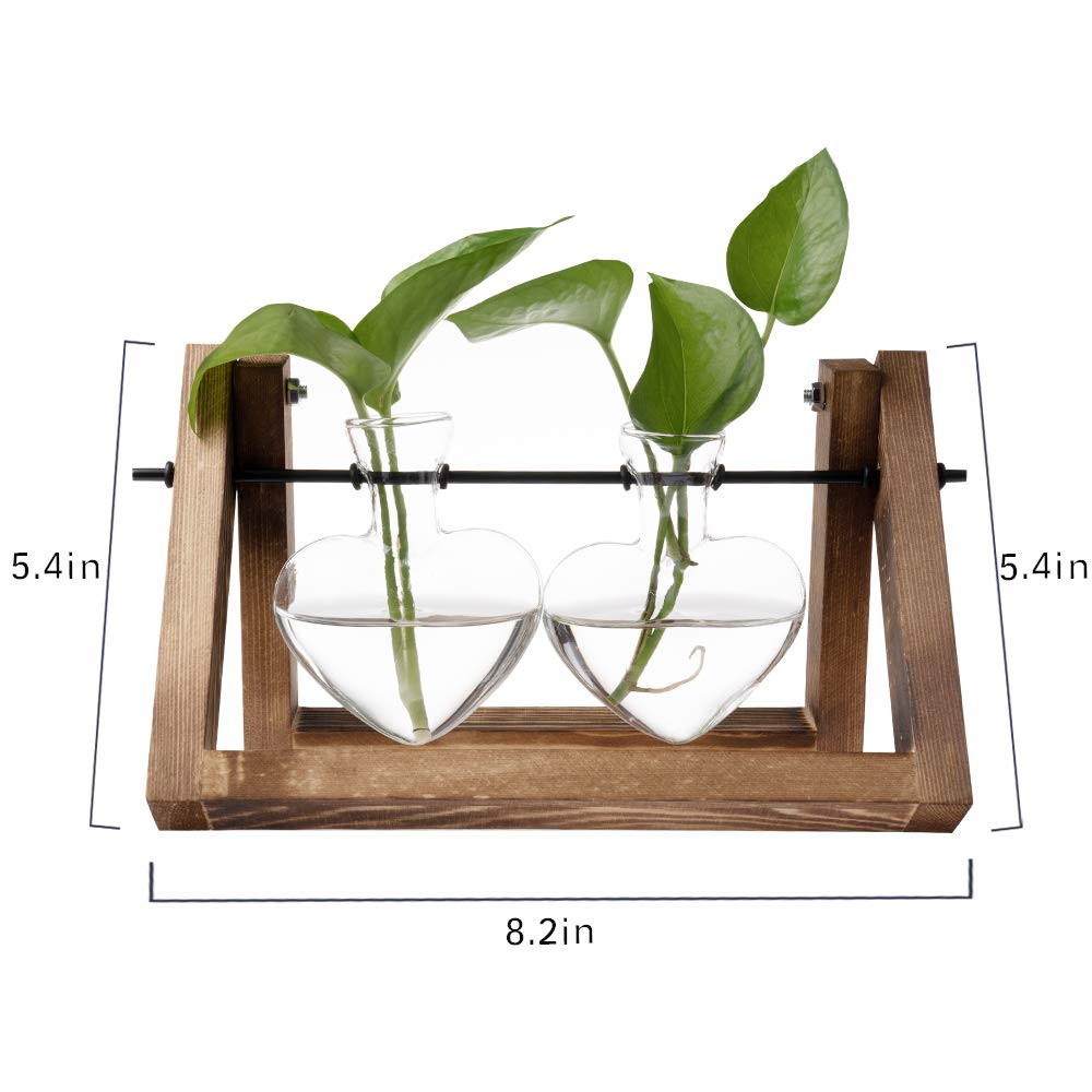 Terrario per Piante Vintage con Supporto in Legno, Vaso in Vetro per Decorazione da Scrivania, Fioriera in Vetro a Forma di Bulbo per Esposizione in Casa e in Ufficio, Ideale per