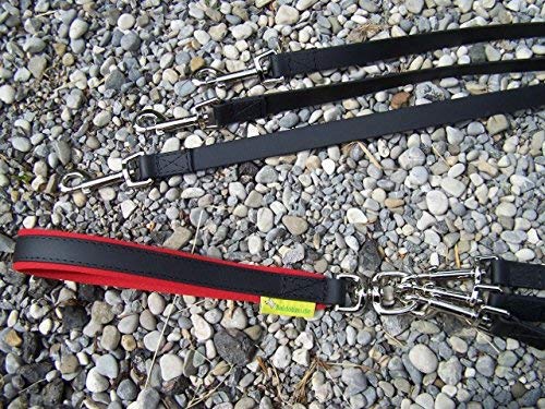 Original Drillingsleine Biothane Doppelleine für DREI Hunde, gepolsterte Handschlaufe, ab 15 kg