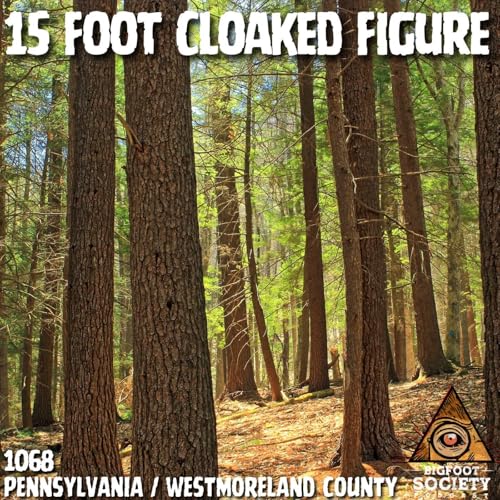 A Hunter in Westmoreland County Describes the Moment Something Passed Beneath His Stand