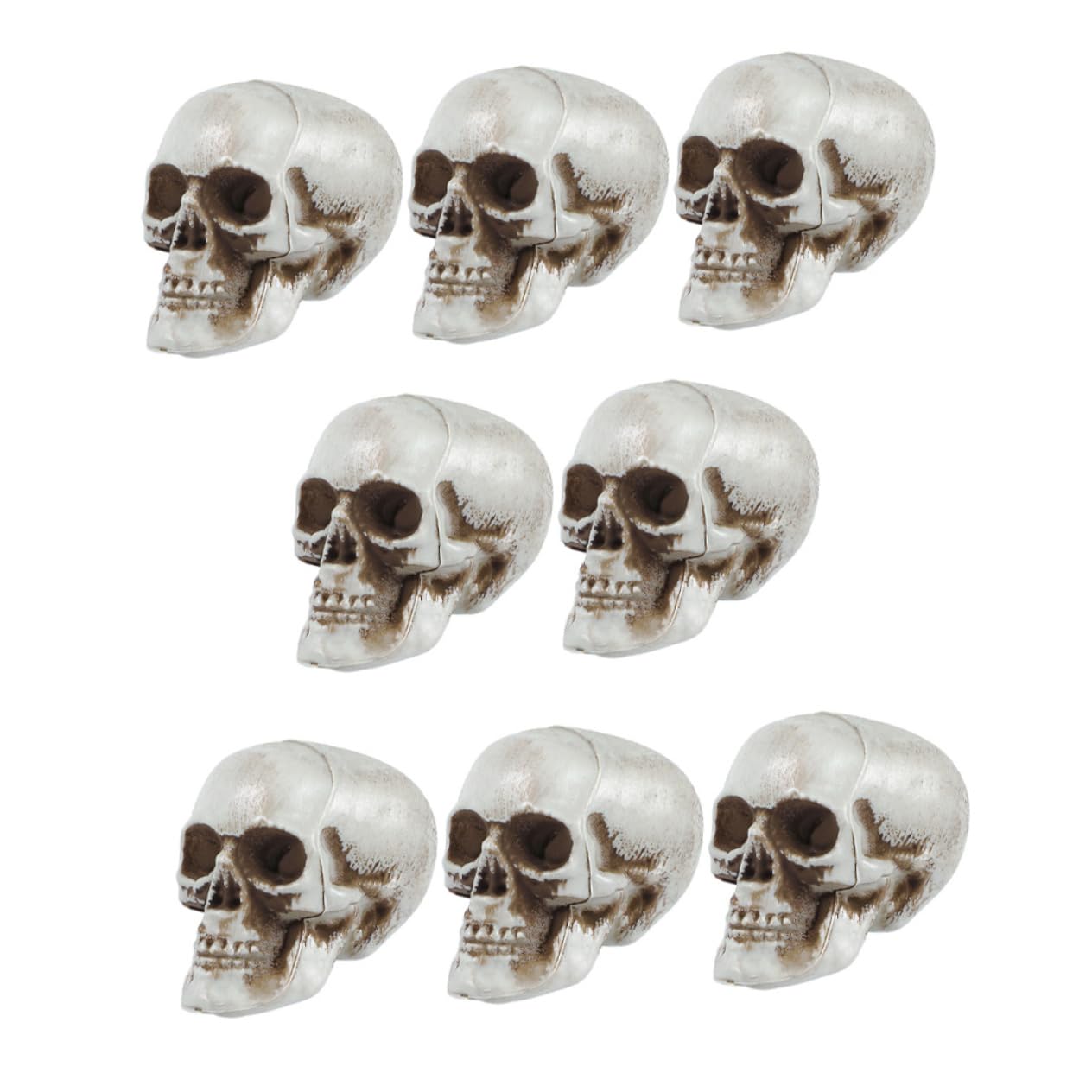 Décor de crâne en résine sculptée ornements de collection RLKHXBS - 8