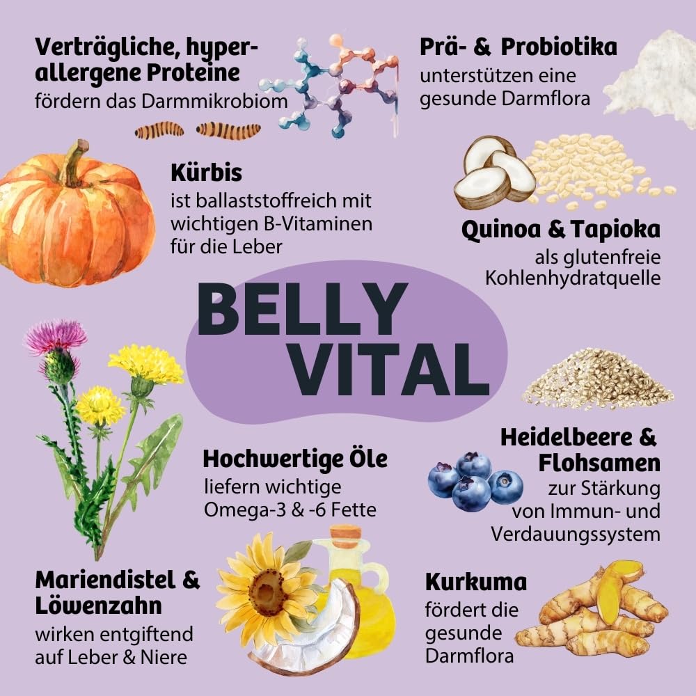 BugBell 800g BellyVital - Premium Trockenfutter mit Insekten - Fettreduziertes Trockenfutter für Hunde - Verdauung & Darmflora mit Präbiotika - Hundefutter trocken mit Löwenzahn (Packung mit 2)