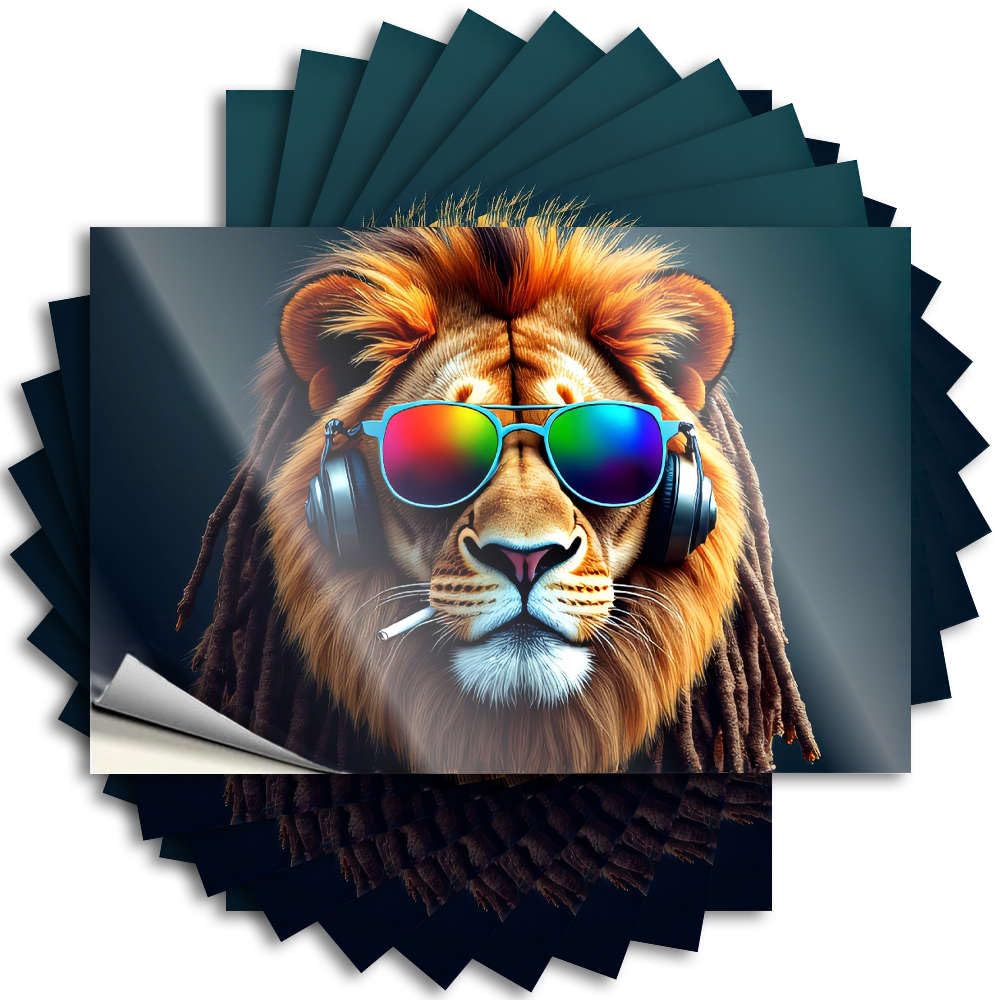 Fzfn Girls Colour Bumper Tiki Bar Accessories Vinyl Sticker | A Lion With Dreadlocks, Sunglasses, And Headphones. Feminist For Use(12X18cm)