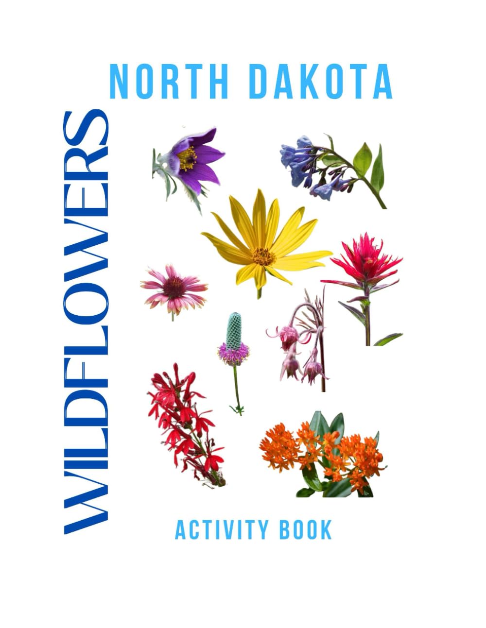 Wildflowers of North Dakota Activity Book: A Young Explorer’s Field Guide to the Native Blooms of North Dakota (North Dakota Nature Explorer Series)