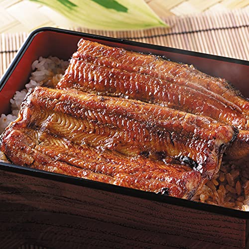 国産 うなぎ 蒲焼 鹿児島県産 (特大約250g×2尾)