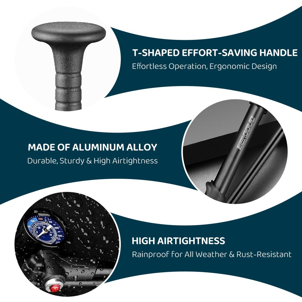 View 6
