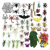 Contiene insectos comunes como mariposas, cucarachas, langostas, mariquitas, libélulas, arañas, hormigas, murciélagos, grillos y más