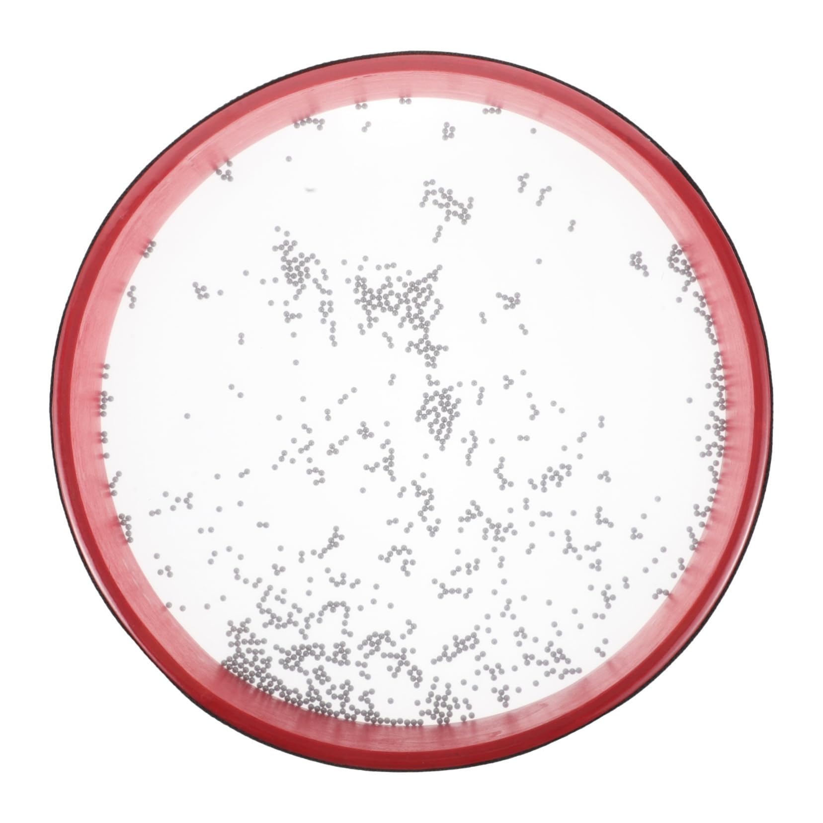 GOOHOCHY Ocean Drum Prop Lightweight Wave Bead Drum for Music Education and Early Development Portable Percussion Instrument for Enhances Musical Sensitivity and Interest