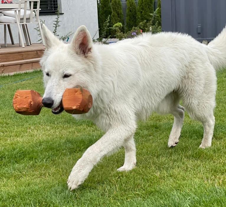 Dingo Apportier Holz aus einem Stück Erlenholz Apport für Gehorsam,Obedience Spiel, Spaß und Hundetraining 150 g 17551