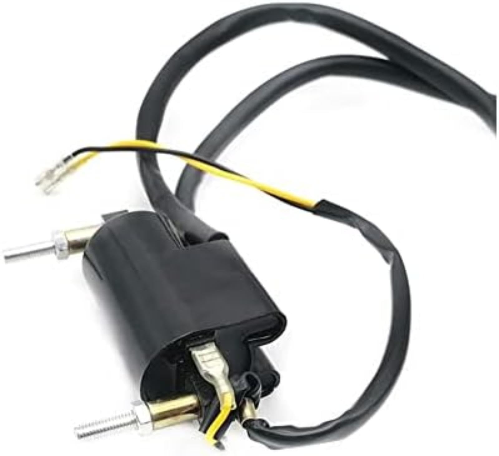 Wivplex Set da 2 bobine di accensione per moto da per corsa, per 750, 900, SC, GL1100, 1200 - Componenti ad alte prestazioni Bobina di accensione per moto (CB650) Bobina di accensione (CB650)