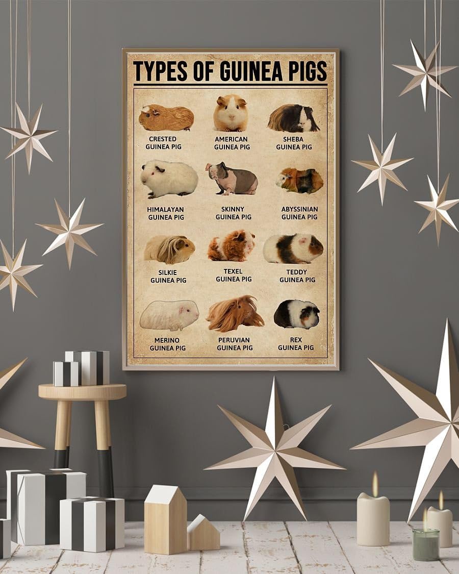 Nuboxx Types of guinea pigs, guinea pig knowledge art, knowledge metal tin sign guinea pig Poster, guinea pig, guinea pig wall art, guinea pig gifts metal tin signs 6x8 Inch