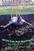 Produktbild Hi! I'm Your New Best Friend: And There's Nothing You Can Do About It