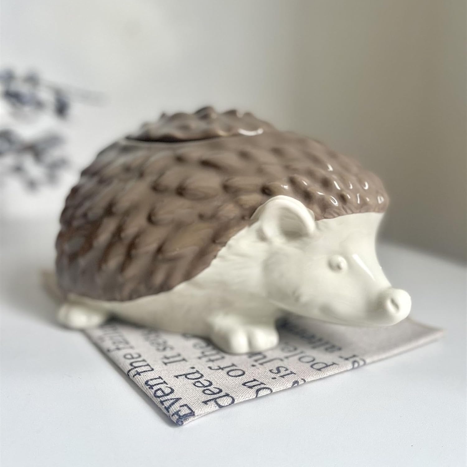 Ceramic Garlic Keeper Container, Three-Dimensional Hedgehog Shaped Creative Garlic Holder Multifunctional Countertop Garlic Storage Device