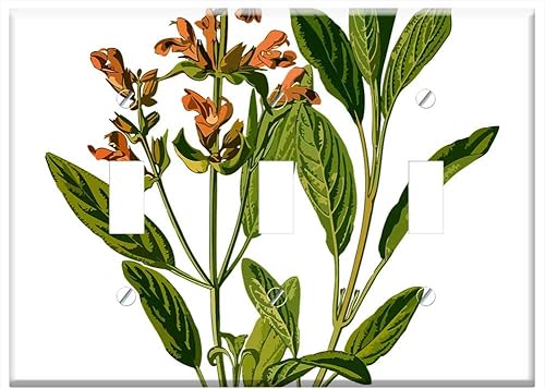Interruptor de la placa de triple palanca - Branch Common Evergreen Garden Herb Herbal