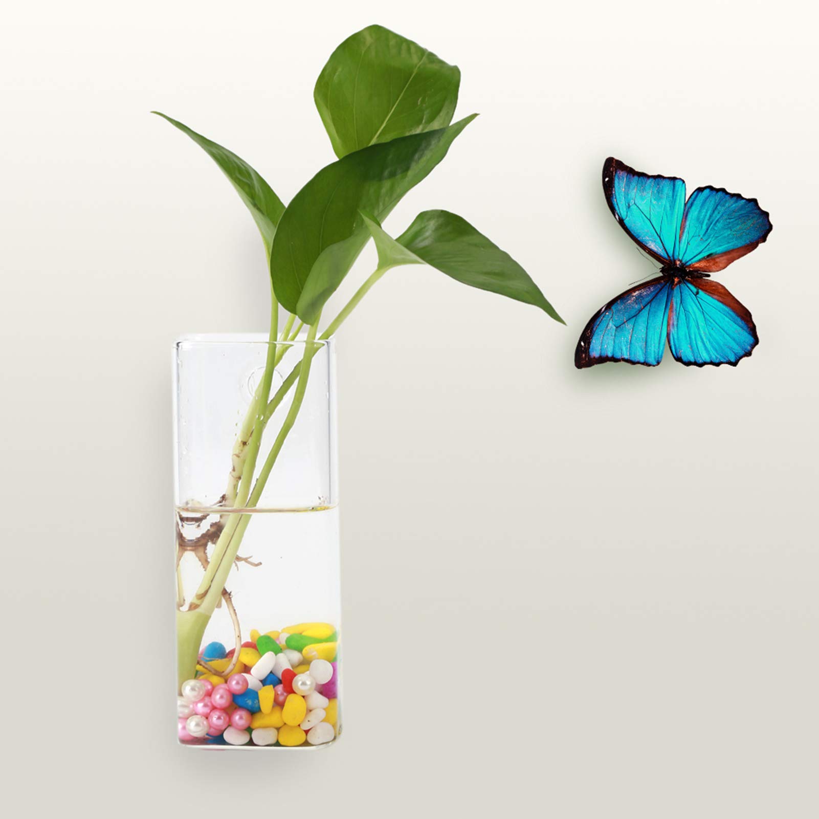 Vaso In Vetro Sospeso A Parete Forma Oblata/tubolare, Contenitore Per Piante Acquatiche, Decorazione Casa Trasparente