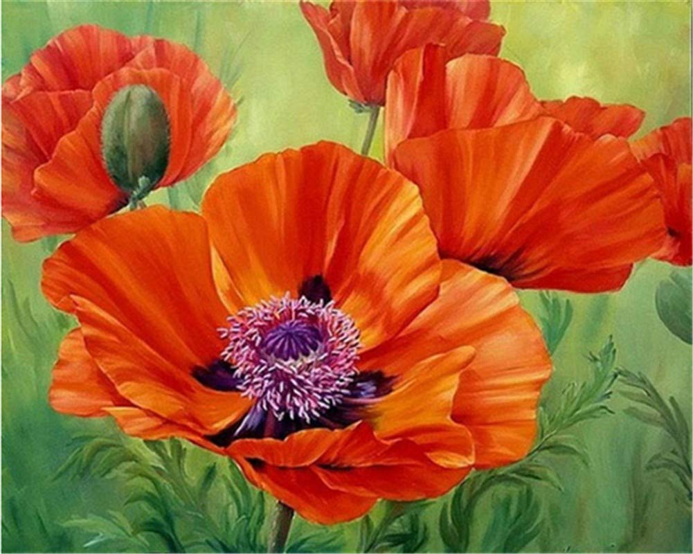 Peinture diamant coquelicots 80x100cm kit complet broderie strass grand format