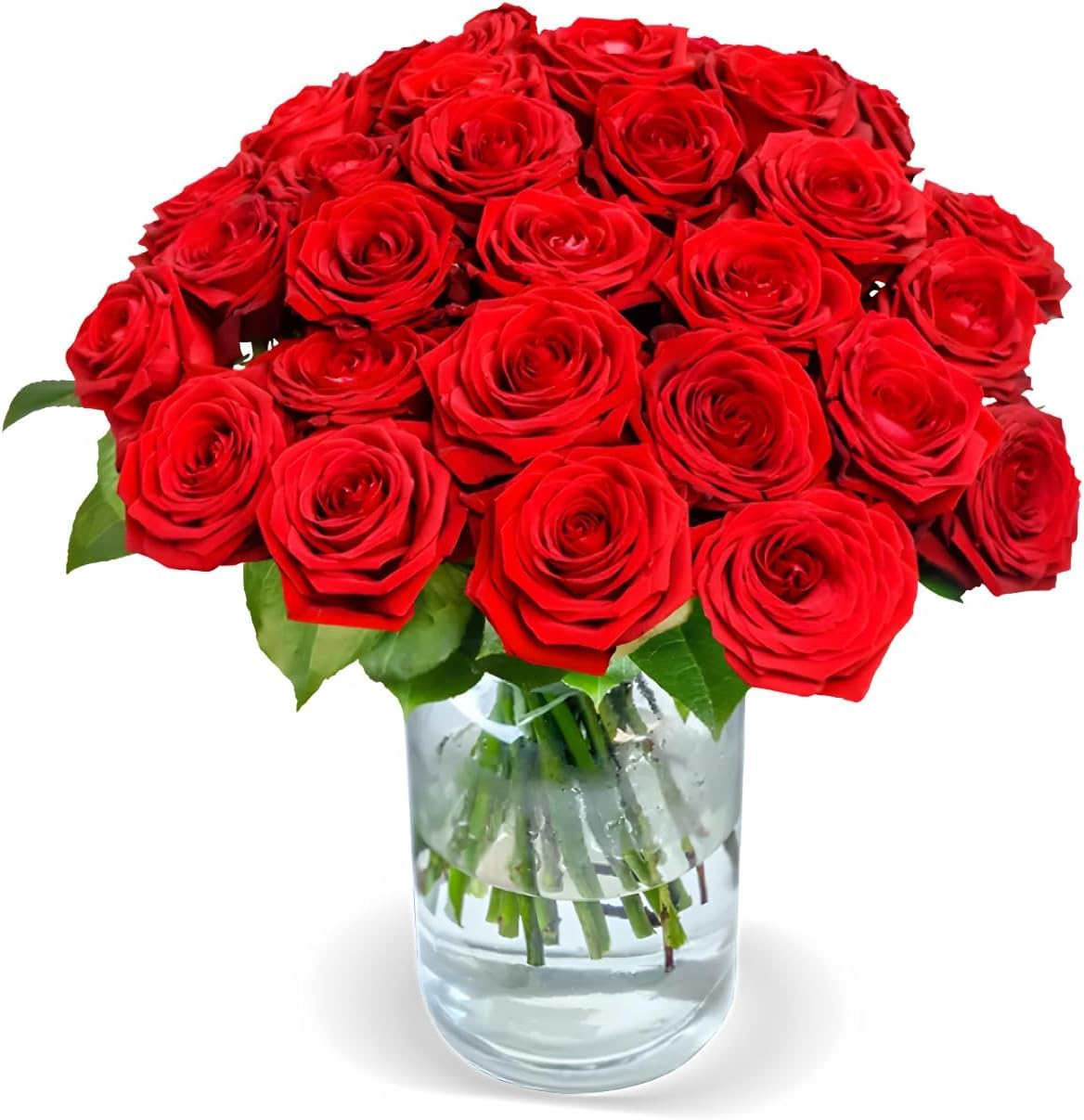 Blume Ideal Rosenstrauß - Rosen in verschiedenen Farben und Mengen - Ø 40–50 cm - Echte premium Blumen für Hochzeit & Deko - 7 Tage Frischegarantie