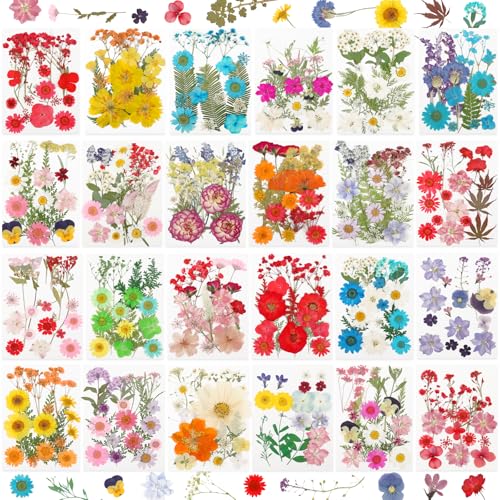 NESCCI 428 Pcs Dried Pressed Flowers for Resin Real Nature Dried Flowers for Crafts Bulk Dry Flowers Leaves Kit Used for Resin Molds Scrapbooking DIY Art Crafts Candle Soap Making Nails Dcor
