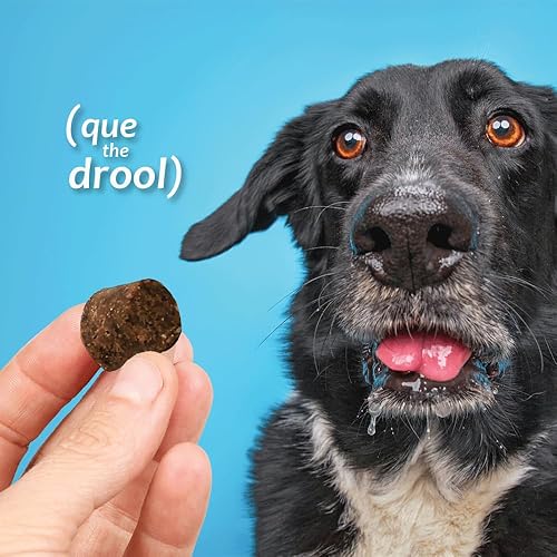 Miniatura 2 de Azoflora Suplemento para riñones saludables para perros, mejora la función renal, apoya el tracto urinario saludable, fácil de administrar, no