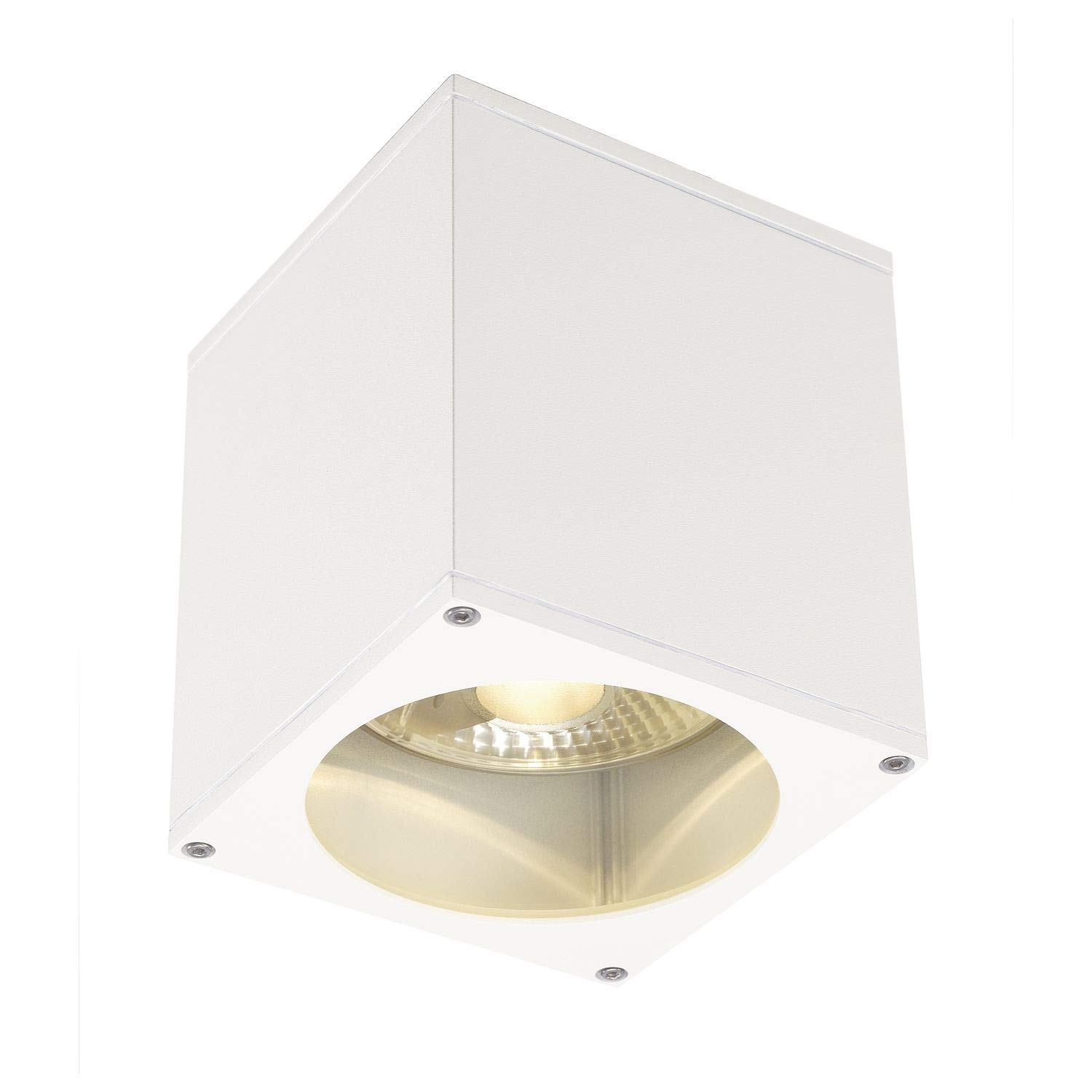 Slv Big Theo Outdoor Ceiling Light, White