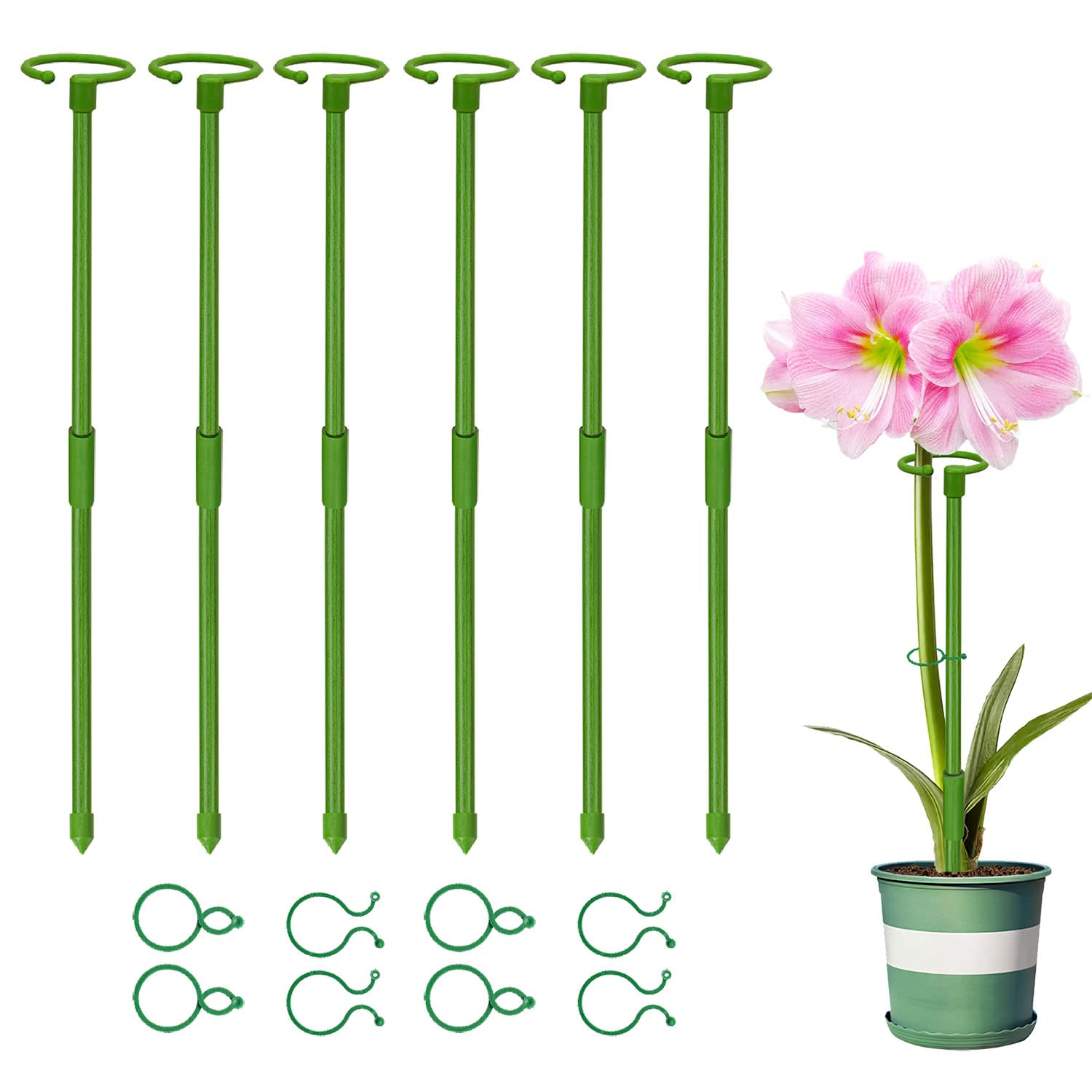 6 Pack Plant Support Stakes Amaryllis Stakes, Upgraded 24 Inch Plant Stake for Indoor Plants, Flower Sticks Orchid Stakes Plant Sticks Support for Peony Tomato Rose (24")