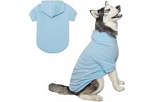 BINGPET Dog Blue Shirt