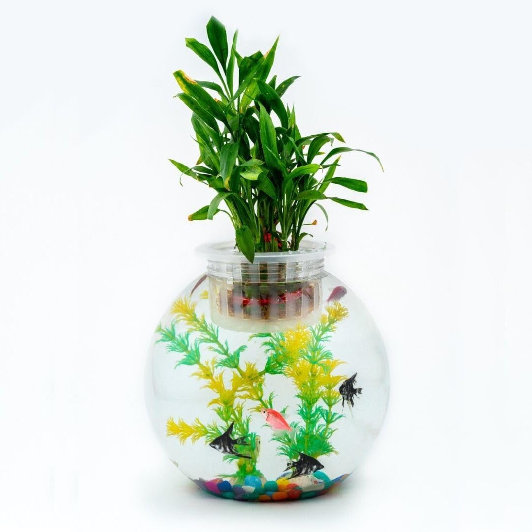 Aquarium Bowl with Live Plant Pot Only | Un Breakable | Plastic |Crystal Clear | Bowl and Plant Pot Only (8 LTR) (B0DCB8P5FJ) Amazon Price History, Amazon Price Tracker