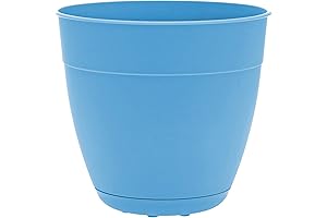 Bloem Dayton Outdoor Plastic Planter: Enhance Your Garden with Style
